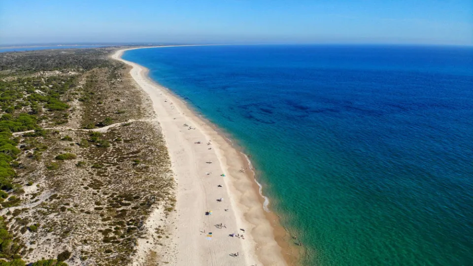 Vista aérea da praia de Tróia com mar azul e extensa faixa de areia clara junto à vegetação.