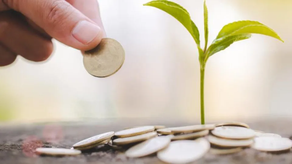 Dia Mundial da Poupança: Conheça 3 clientes que ajudámos a poupar em créditos e seguros 