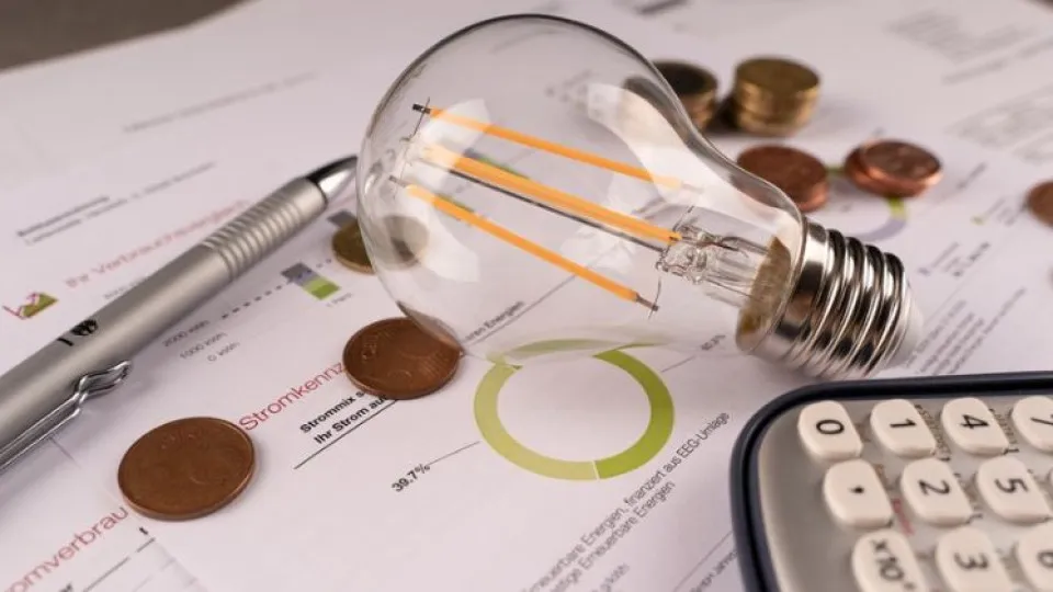 Lâmpada em cima de folhas e moedas de cêntimos, com calculadora para simbolizar energia