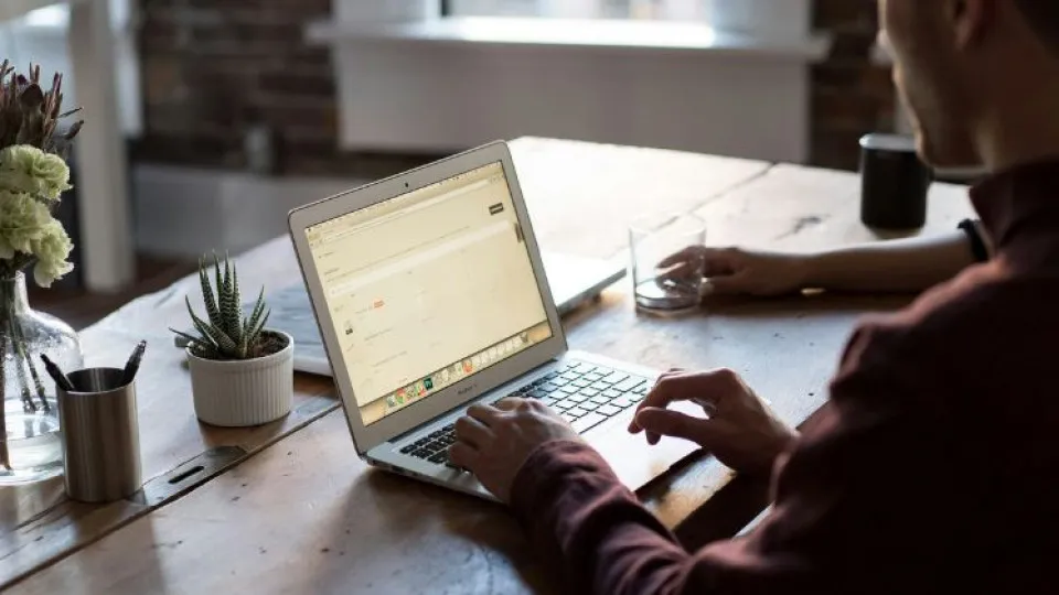 Homem em frente a computador com mãos no teclado sentado em mesa com plantas simbolizando IRS