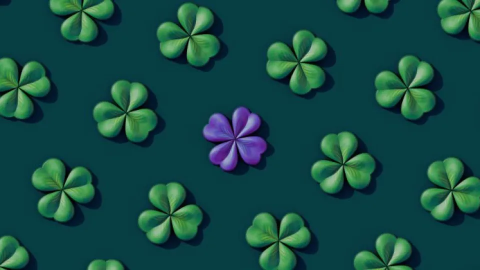 Sorte ao dinheiro? Estes quatro signos têm muita 