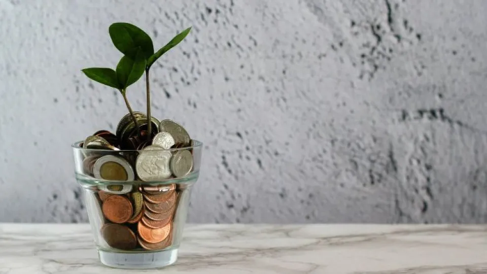 Taxa de poupança das famílias sobe 0,6 pontos percentuais no 2.º trimestre 