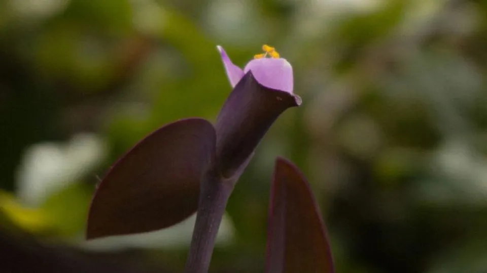 Poupar dinheiro? Pequenas ações que podem ajudar todos os dias 