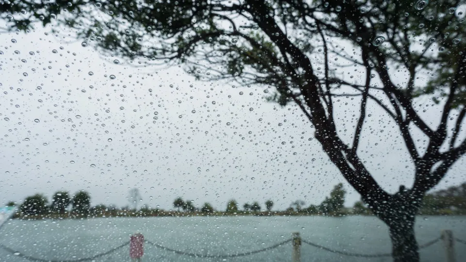 Faltou ao trabalho devido ao mau tempo? Descubra se a falta é remunerada 