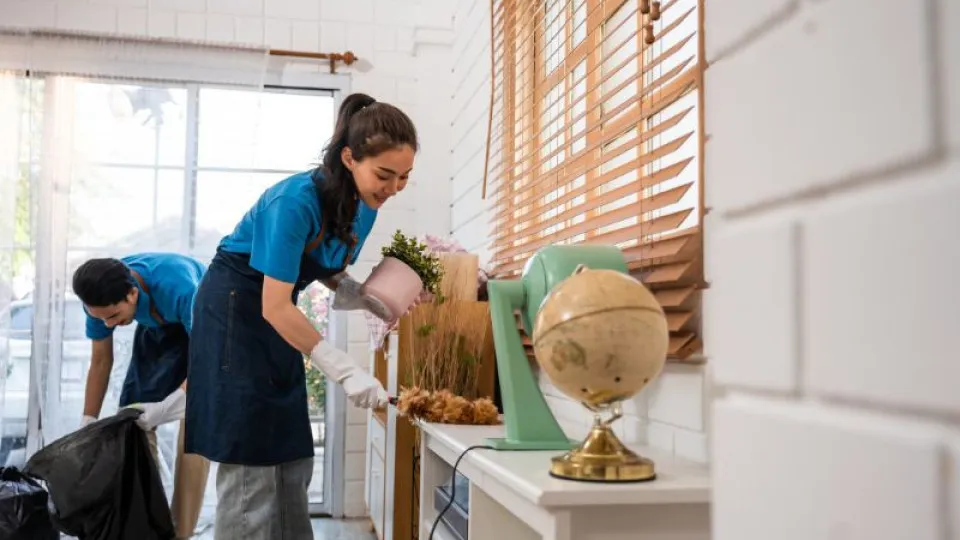 IRS: Como funciona a declaração de trabalho doméstico? 