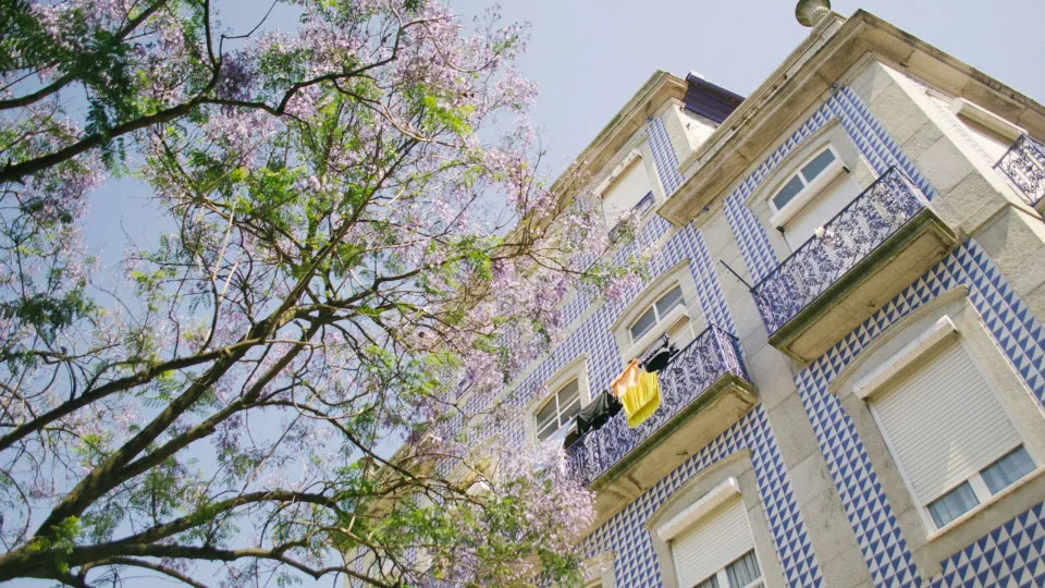 Fachada de prédio tradicional com azulejos azuis e brancos, visto de baixo, com uma árvore florida à frente e roupa amarela pendurada na varanda.