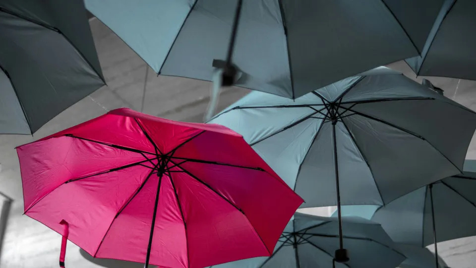 Guarda-chuva vermelho entre vários guarda-chuvas azuis e cinzentos pendurados.